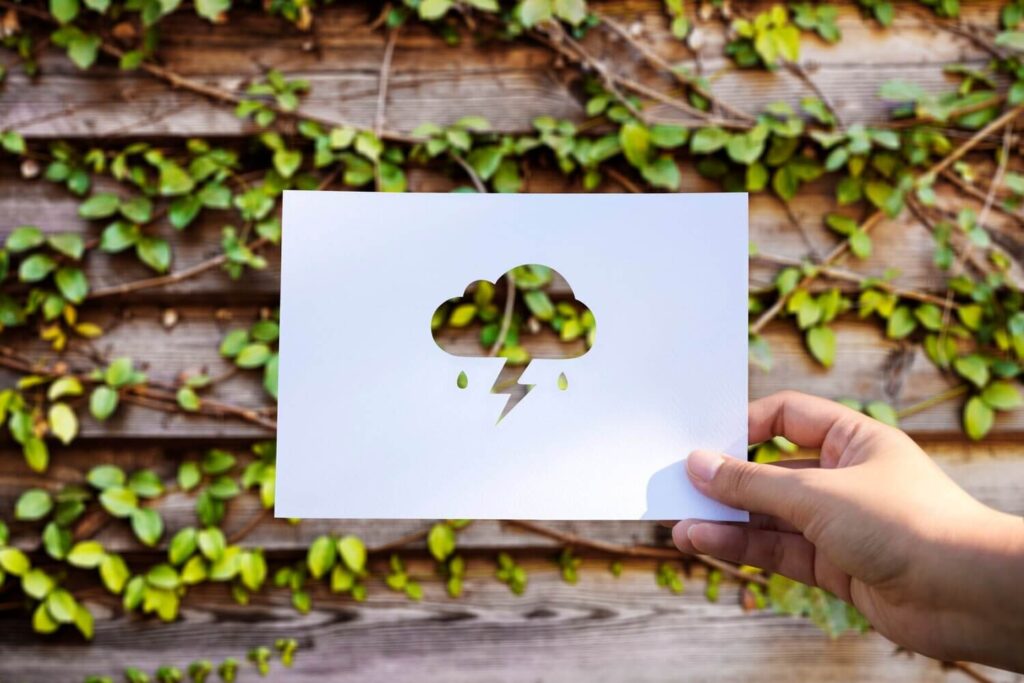 A zöldre festett profit csapdája: így ne dőljünk be a tőzsdei ál-környezetvédőknek!