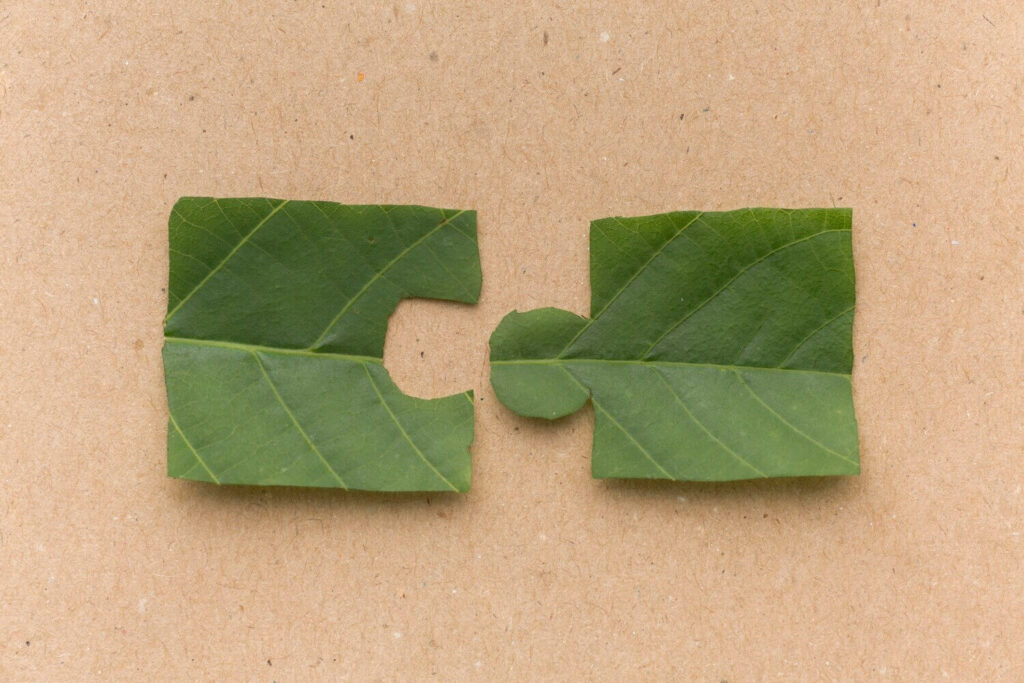 A Top 10 és a lobbi